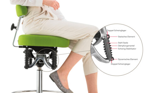 Haider Bioswing Boogie Classic – Bild 3