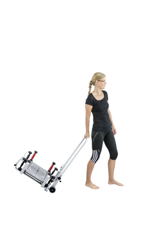 Posturomed compact Transport